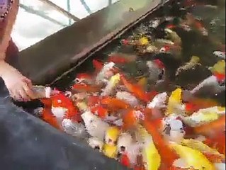 WOW so cute must watch