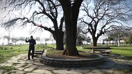 Ramin Farhangniya - Alagöz