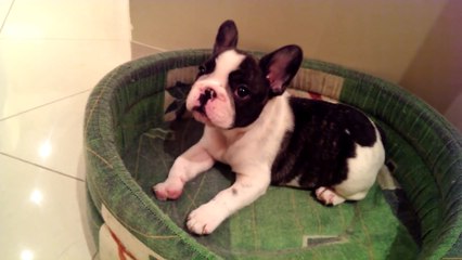 kdjgg라이브카지노＼＼¶¶¶【【ＤＢＴ７７７。ＣＯＭ】】家家＼＼라이브카지노­Ｍ】】家家＼＼라­이­브­카­지­노