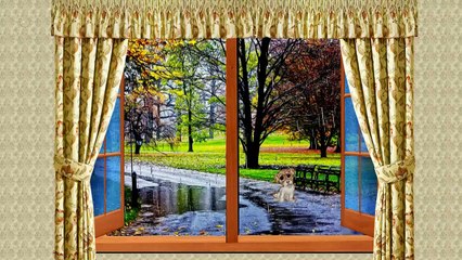 Rainy spring day! ... ... (music Richard Clayderman)  ... ...