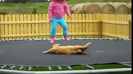 loid라이브카지노＼＼¶¶¶【【ＤＢＴ７７７。ＣＯＭ】】家家＼＼라이브카지노­Ｍ】】家家＼＼라­이­브­카­지­노