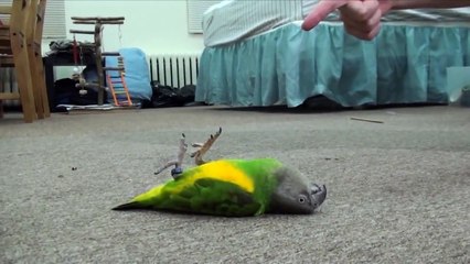 juyf라이브카지노＼＼¶¶¶【【ＤＢＴ７７７。ＣＯＭ】】家家＼＼라이브카지노­Ｍ】】家家＼＼라­이­브­카­지­노