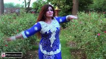 PHUL GULAB DA - BINDIA DANCE - PAKISTANI MUJRA DANCE(1)