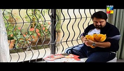 Mr Shamim Episode 7 Full HUM TV Drama 15 Feb 2015