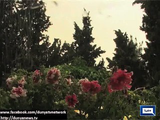 Dunya News - Peshawar: Drizzling made weather pleasant