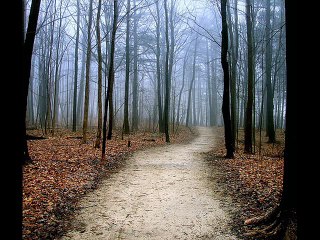 خليك معايا - عبدالحليم حافظ