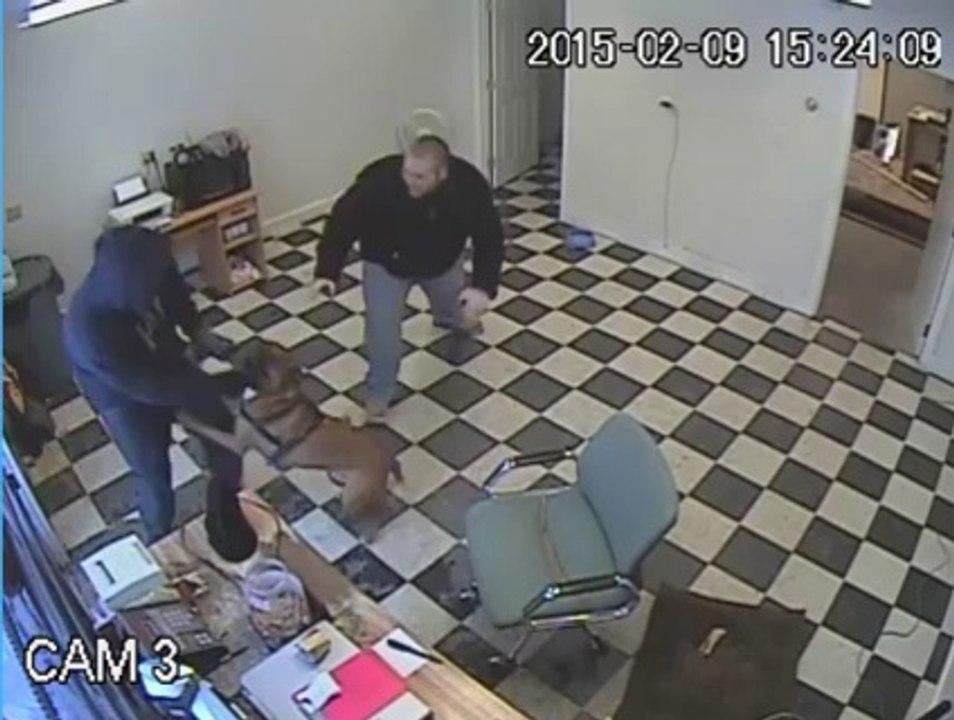 Un chien sauve son maitre et attaque un braqueur !