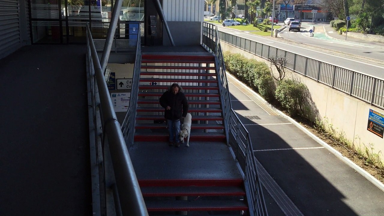 dressage canin la ciotat 13 Education d'un chien craintif en milieu urbain sur la ciotat