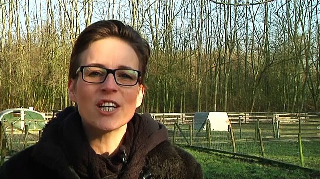 Het Swieneparredies is er weer helemaal bovenop - RTV Noord