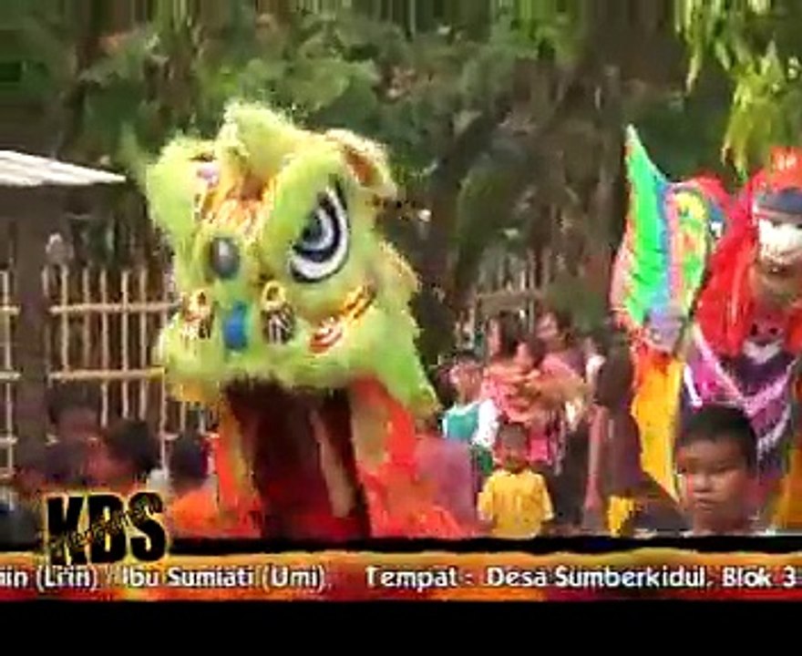 GABER Galau Berat @ BUROK BARONGSAI KBS Sumber Kidul Babakan