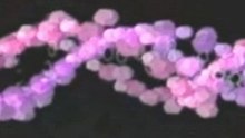 An Introduction to GMO