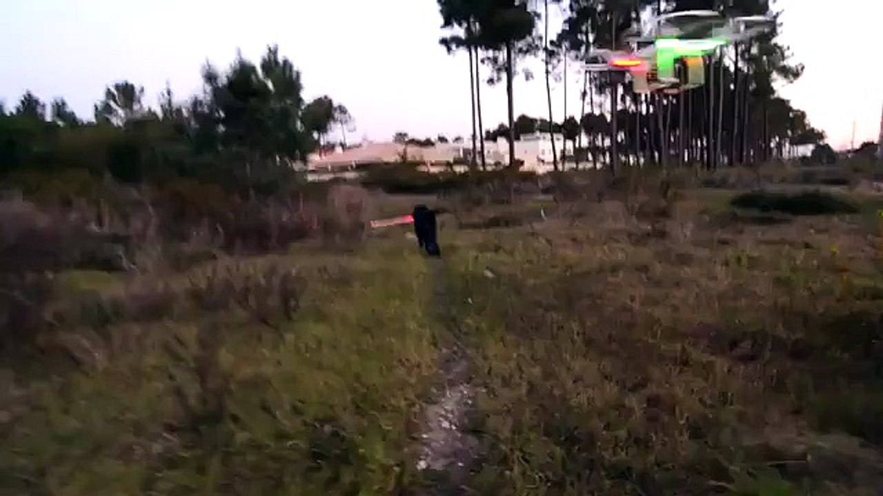 Dog Vader Takes On A Drone