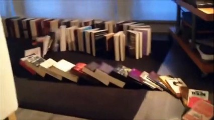 AWESOME Book Domino Rally!