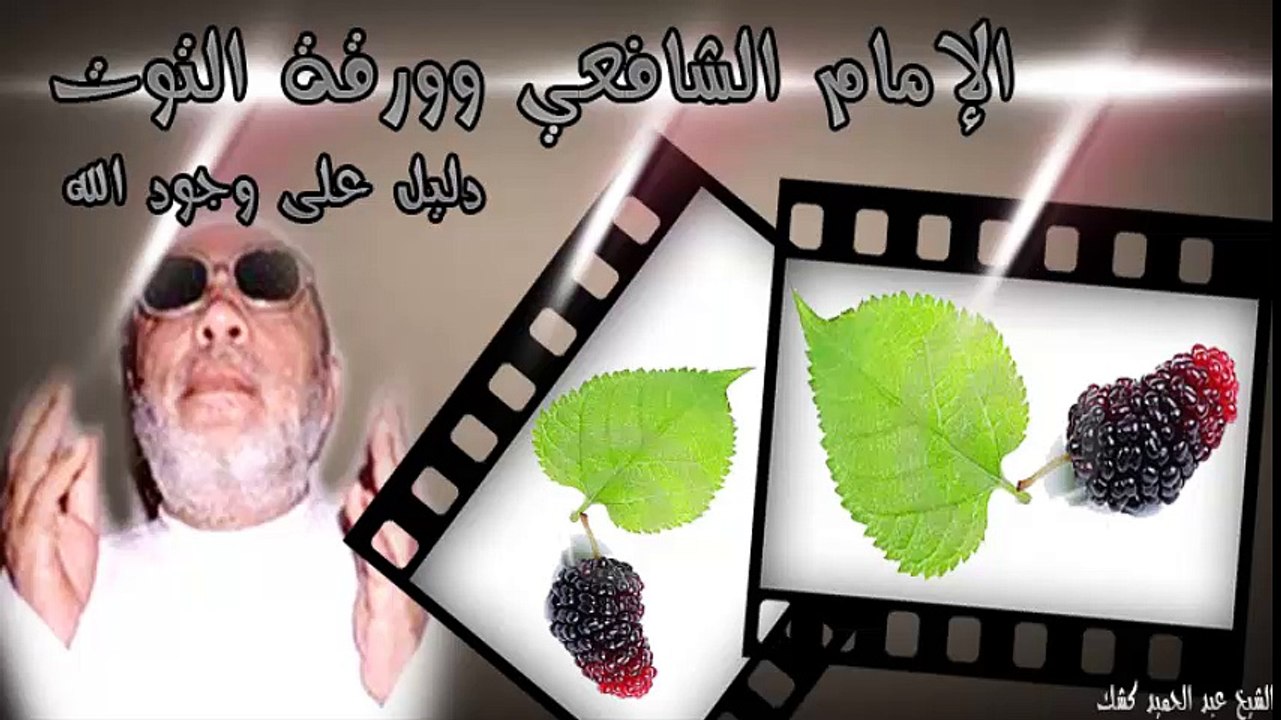 الشيخ عبد الحميد كشك / الإمام الشافعي وورقة التوت دليل على وجود الله