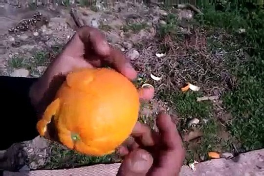 Comment éplucher une orange