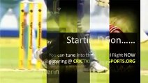 Watch - nz v Scotland cricket live - Pool A - watch icc world cup live - live world cup cricket streaming - live score icc world cup