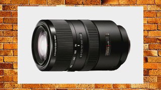 Sony SAL-70300G 70-300mm F4.5-5.6 G SSM