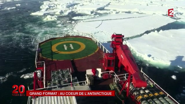 Les bébés manchots meurent du réchauffement climatique