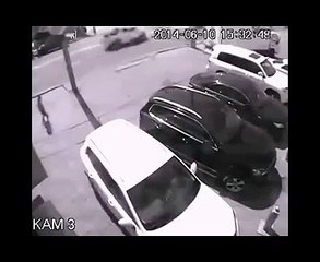 Reversing Truck Who Gives A Fk