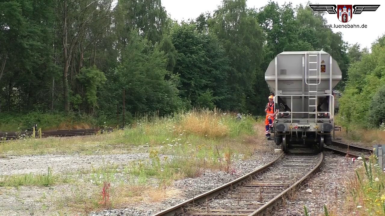 Im Sommer mit HVLE Tiger uber die OHE von Winsen %28Luhe%29 nach Celle