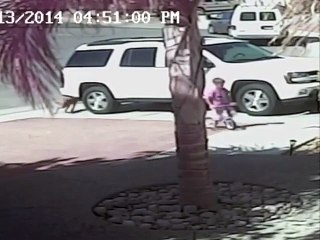 A Dog Biting a Little Boy  - Dailymotion