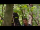 Insurgent Official Trailer - Fight Back (2015) - Shailene Woodley Divergent Sequel HD