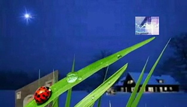 soñar con mariscos vivos, significado de los sueños, español latino