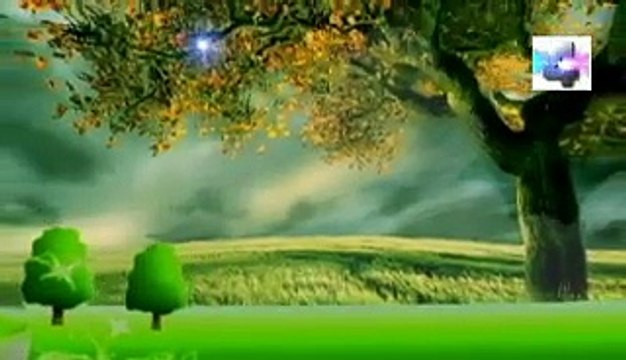 soñar con muchos peces, significado de los sueños, español latino