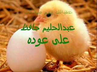 عقبالك يوم ميلادك - عبدالحليم حافظ على عوده