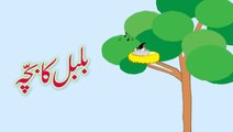 Bulbul Ka Bacha (Urdu Poem)