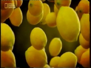 Psicologia: Lavarse las manos despues de orinar