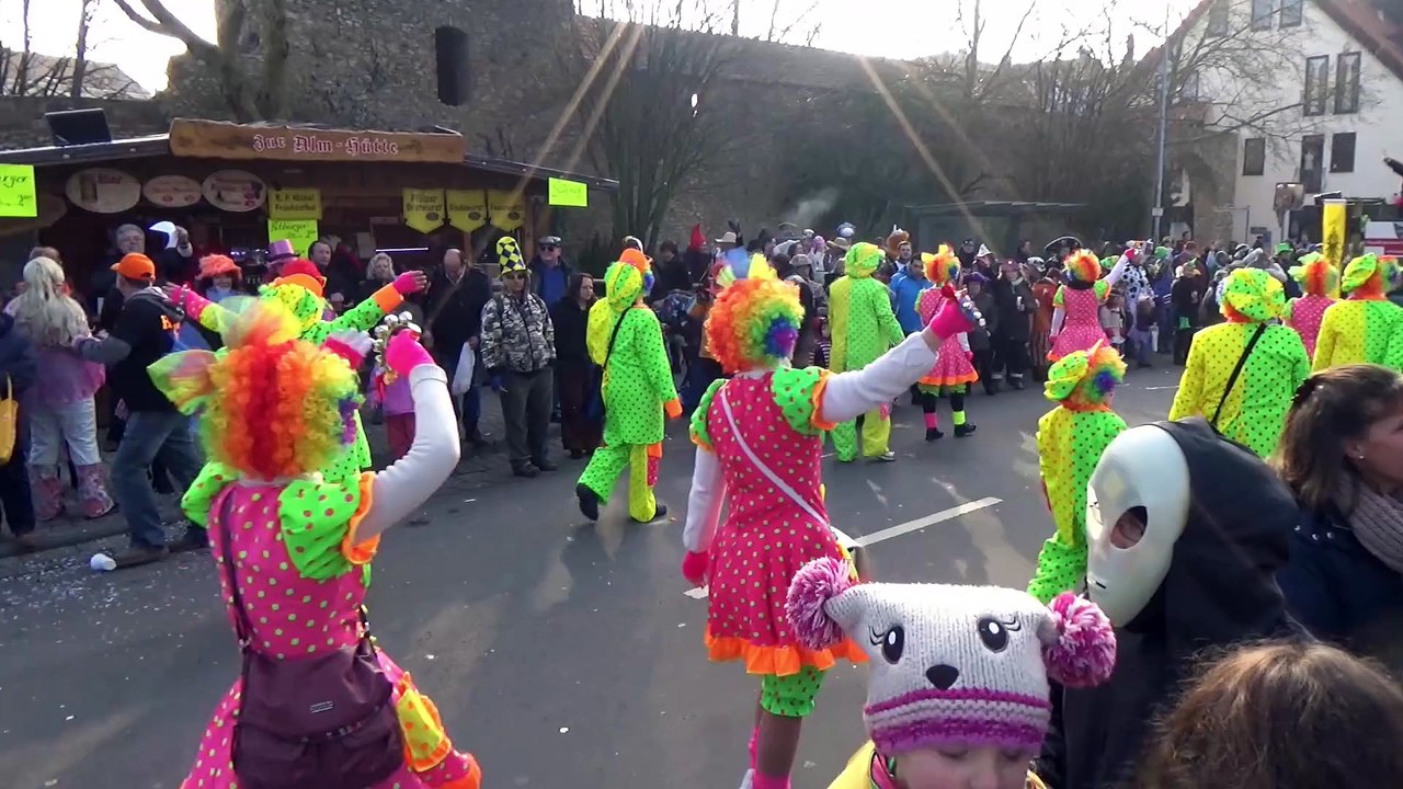 Fastnachtsumzug Alzey 2015