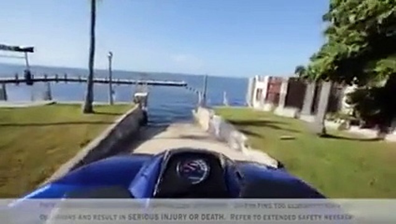 Ever heard of a quadski? (Quad - Jetski Combo)