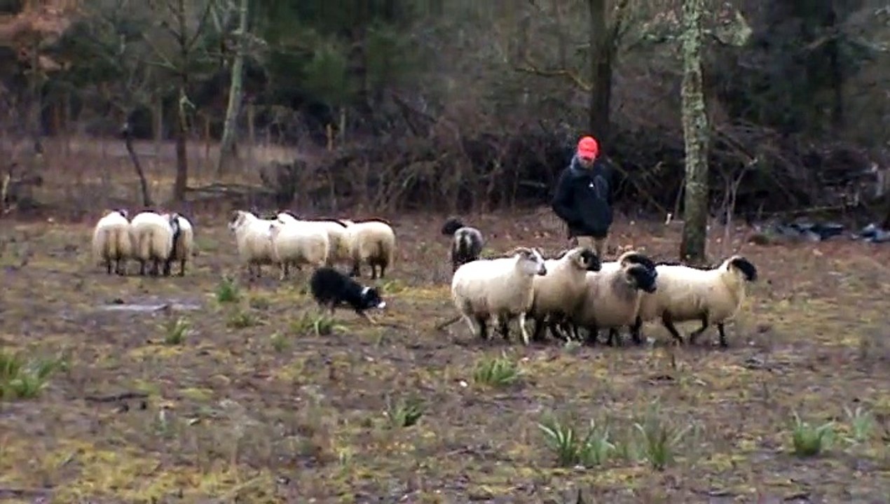 H'eve du blues des alpages 2