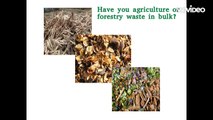 Biomass briquetting machine plant - Eco friendly invention for save nature