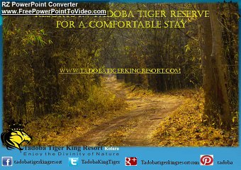 Resorts in Tadoba Tiger Reserve for a comfortable Stay