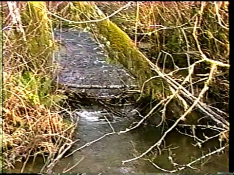 Oregon Video Map #2C (N.W. Oregon) Cannon Beach-Pacific City