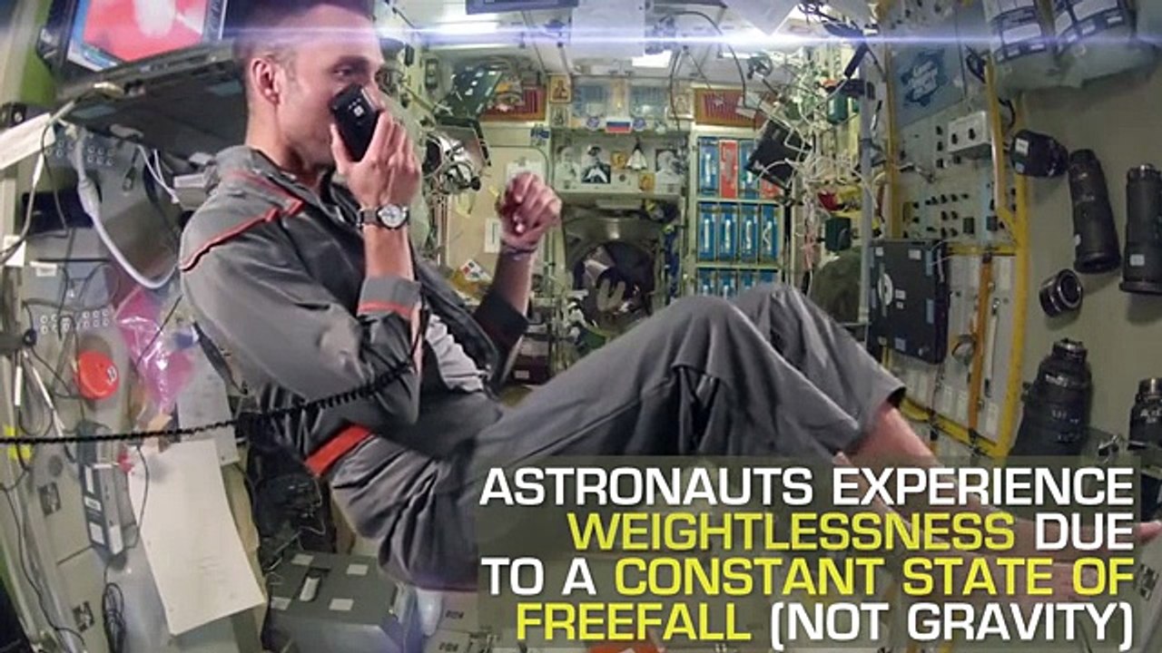 7 Science Myths You Probably Believe