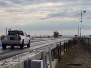 Bir Kedi Gördüm Sanki