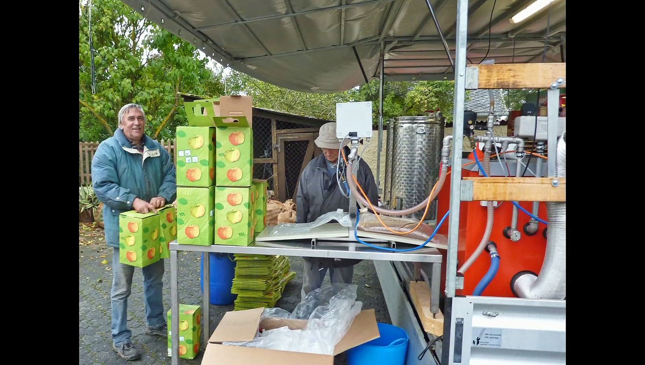 Keltern der Apfelernte 2013