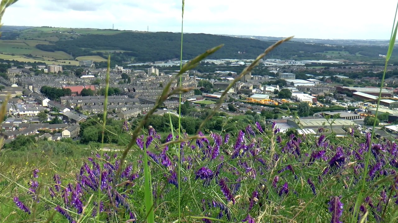 The 'Swoop' Recycled Plastic Land Art Project