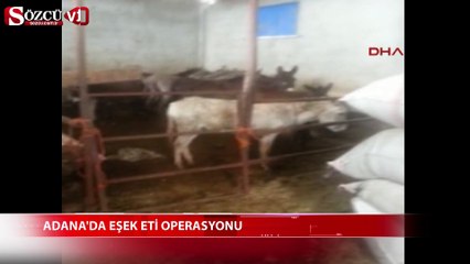 Adana'da eşek eti operasyonu