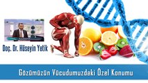 Gözümüzün Vücudumuzdaki Özel Konumu