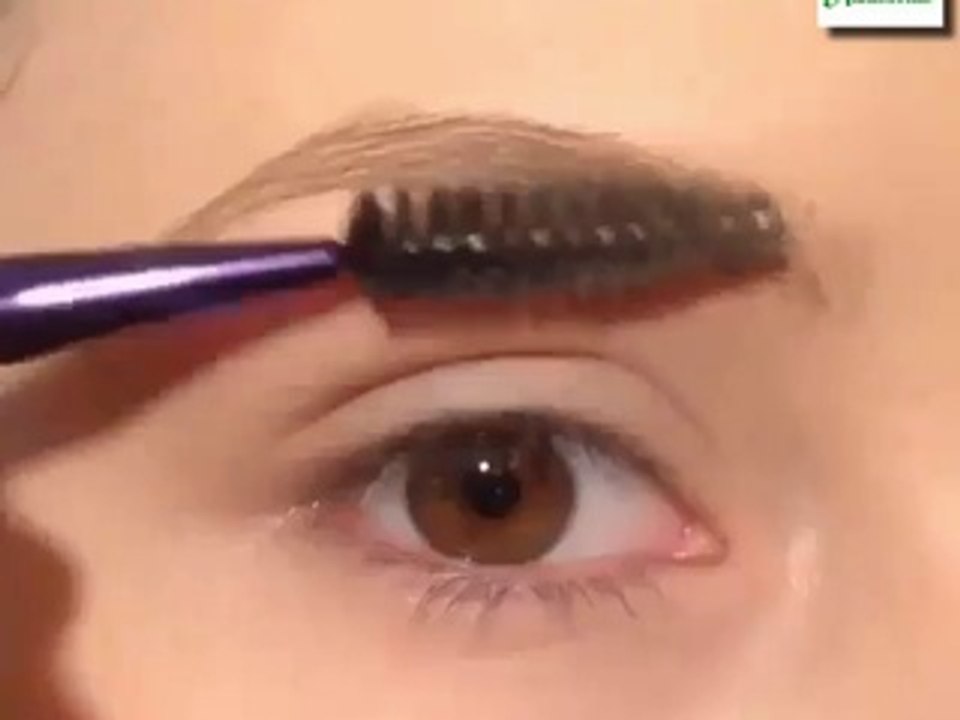 Drawing Eyebrow