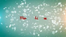 Snowflakes Openers Holidays After Effects Project Templates