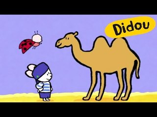 Didou - Dessine-moi un chameau S01E03 HD