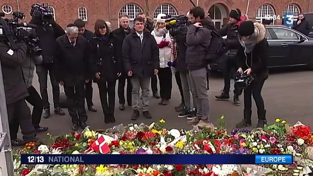 Attentats à Copenhague : Anne Hidalgo et Patrick Pelloux expriment leur soutien