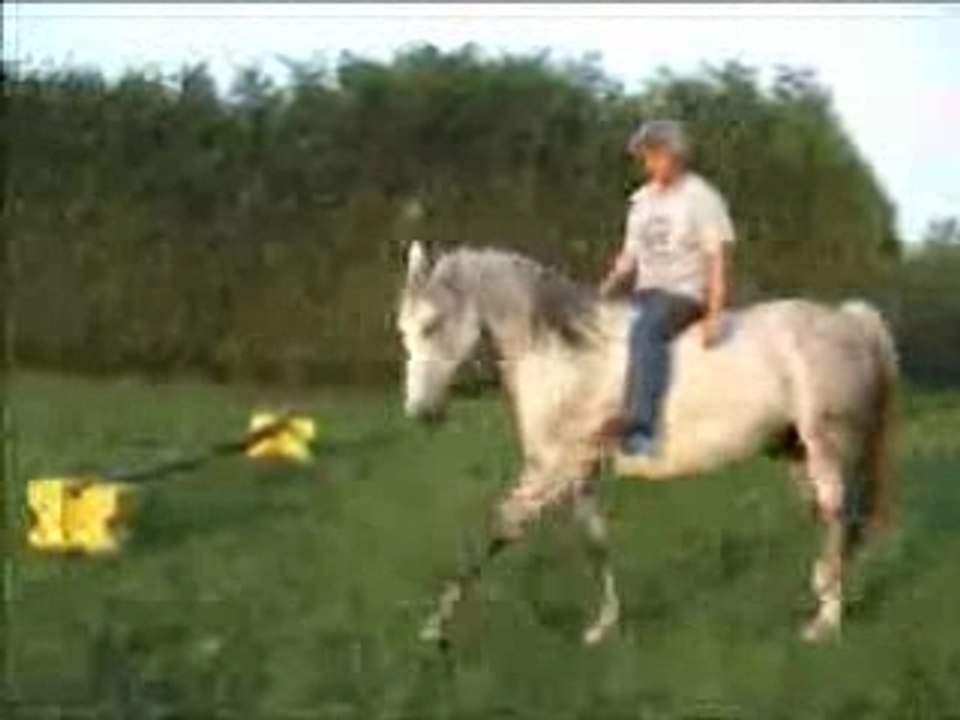 Xavier Pas espagnol ethologie