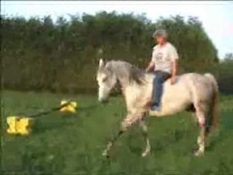 Xavier Pas espagnol ethologie