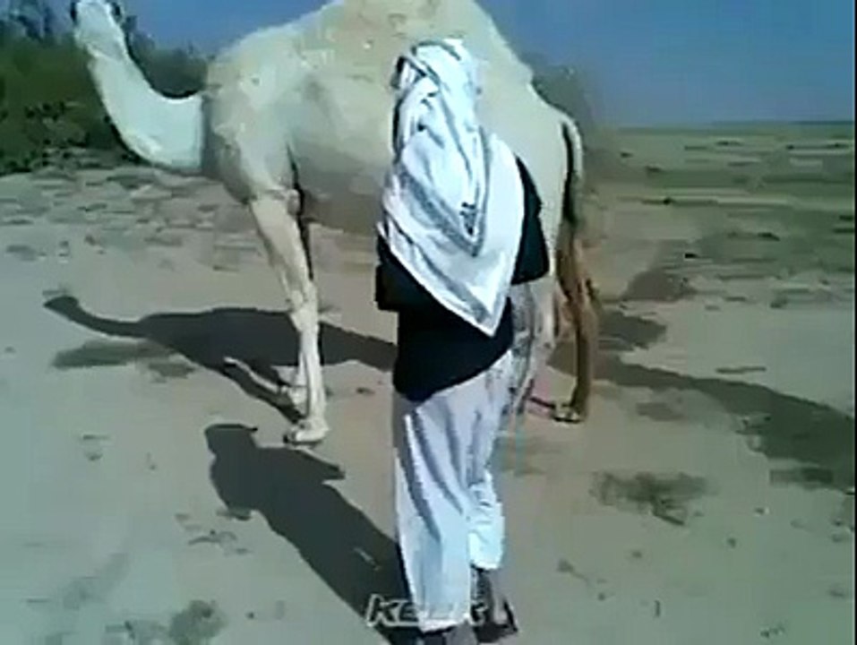 See This Stupid Guy, What he is Doing...........???????